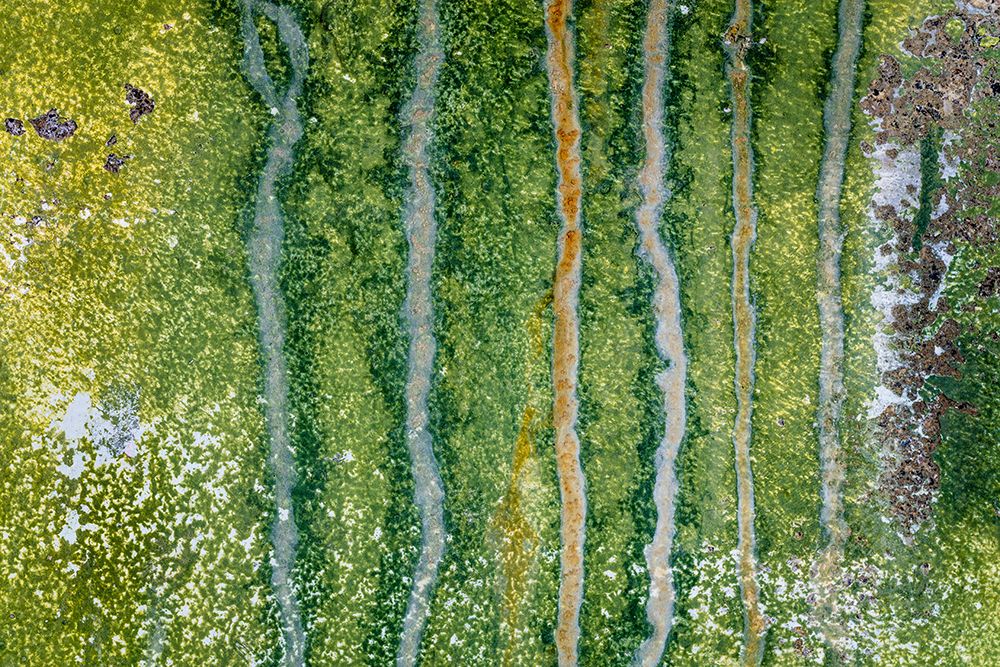 USA, Washington State, Port Townsend, Fort Worden SP. Weathered paint patterns on metal wall.